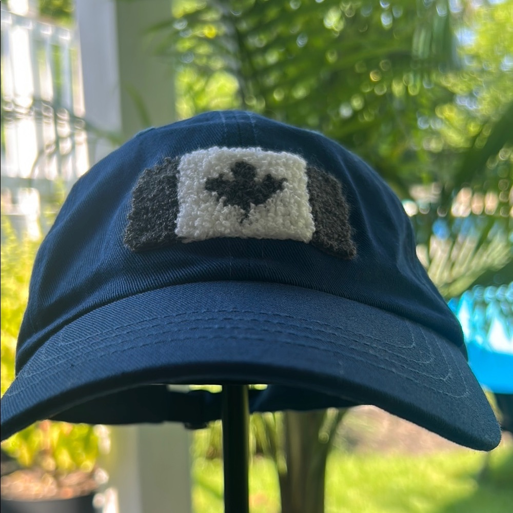 Roots Canada Kids Blue, White and Gray Baseball Hat with Adjustable Strap